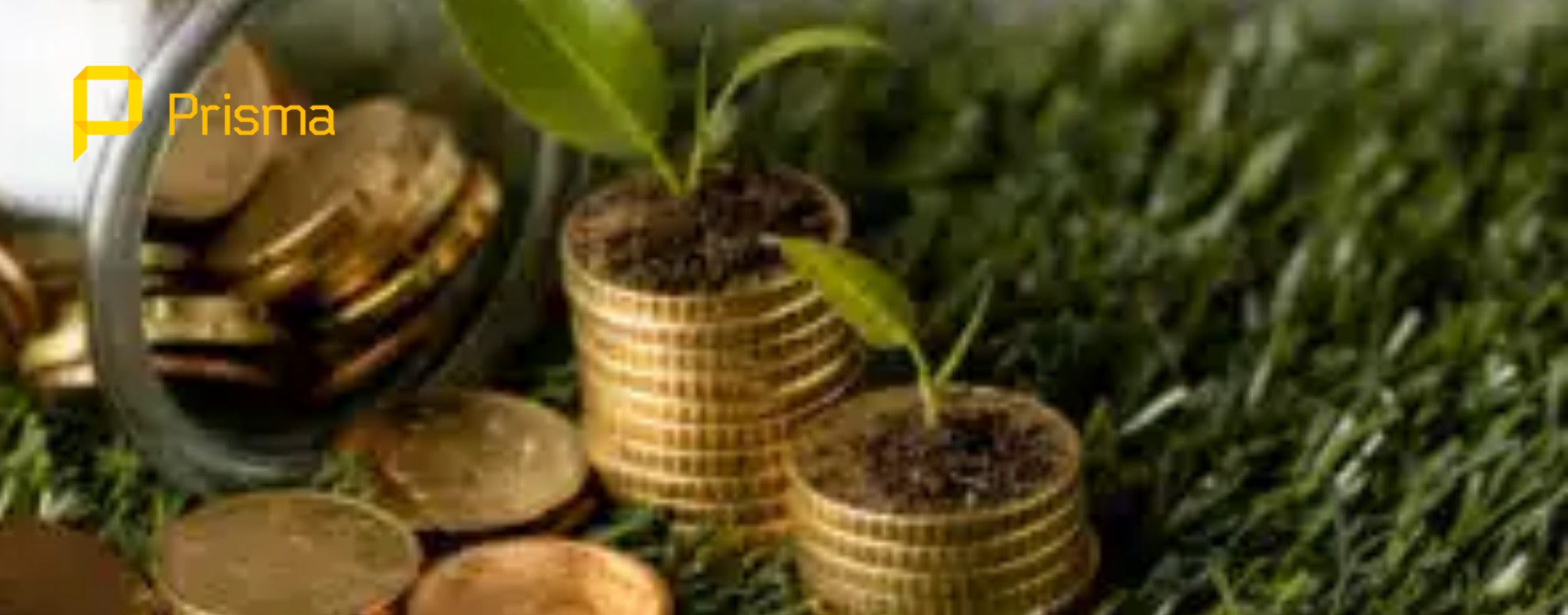 Leia mais sobre o artigo Regulamentação do mercado de carbono e efeitos jurídicos da classificação de seus ativos